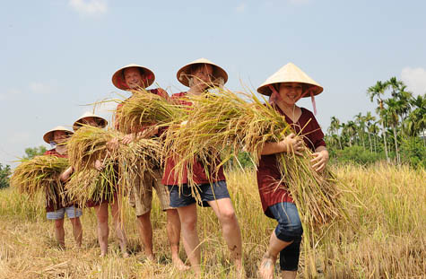 Les paysans de Hoi An